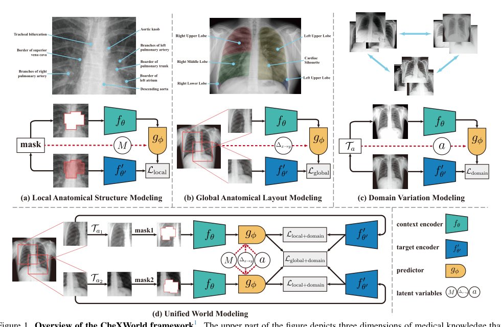 CheXWorld: Exploring Image World Modeling for Radiograph Representation Learning Figure 1
