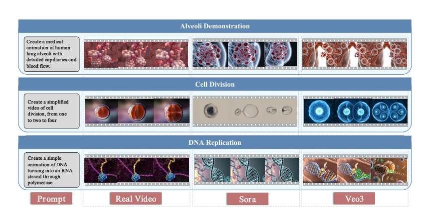 MicroVerse: A Preliminary Exploration Toward a Micro-World Simulation Figure 1