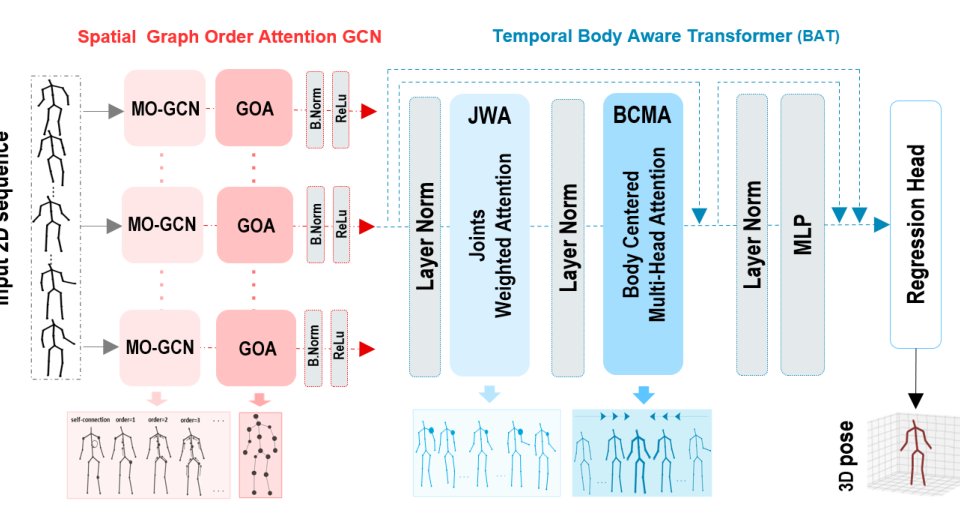 3D Human Pose Estimation via Spatial Graph Order Attention and Temporal Body Aware Transformer Figure 1