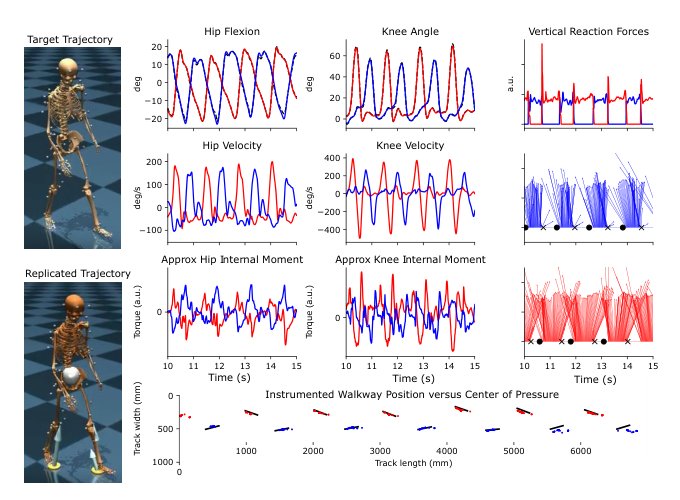 KinTwin: Imitation Learning with Torque and Muscle Driven Biomechanical Models Enables Precise Replication of Able-Bodied and Impaired Movement from Markerless Motion Capture Figure 1