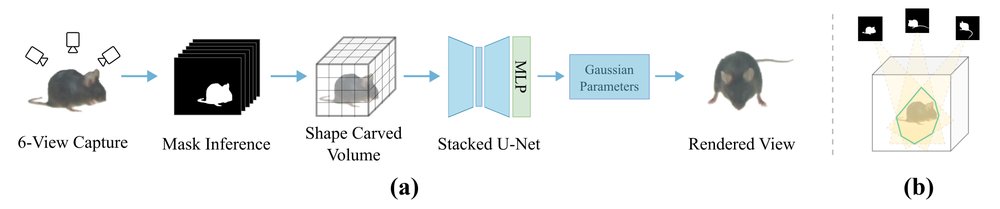 Pose Splatter: A 3D Gaussian Splatting Model for Quantifying Animal Pose and Appearance Figure 1