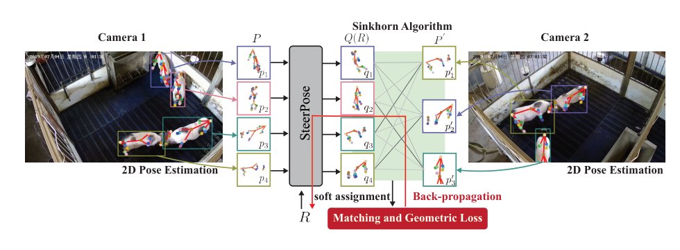 SteerPose: Simultaneous Extrinsic Camera Calibration and Matching from Articulation Figure 1