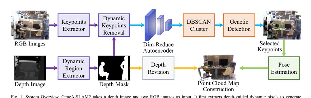 GeneA-SLAM2: Dynamic SLAM with AutoEncoder-Preprocessed Genetic Keypoints Resampling and Depth Variance-Guided Dynamic Region Removal Figure 1
