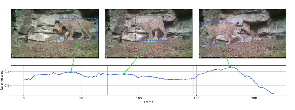 CzechLynx: A Dataset for Individual Identification and Pose Estimation of the Eurasian Lynx Figure 1