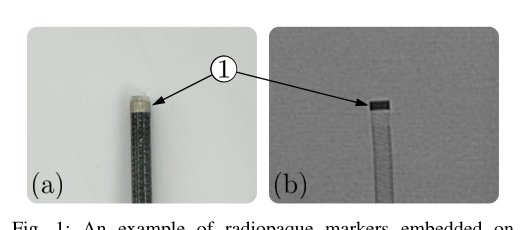 Fluoroscopic Shape and Pose Tracking of Catheters with Custom Radiopaque Markers Figure 1