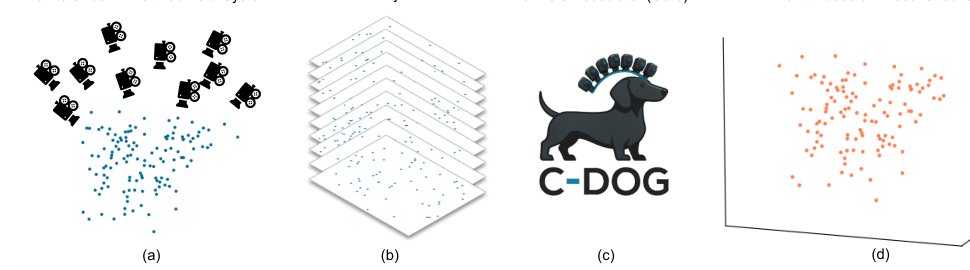 C-DOG: Training-Free Multi-View Multi-Object Association in Dense Scenes Without Visual Feature via Connected δ-Overlap Graphs Figure 1