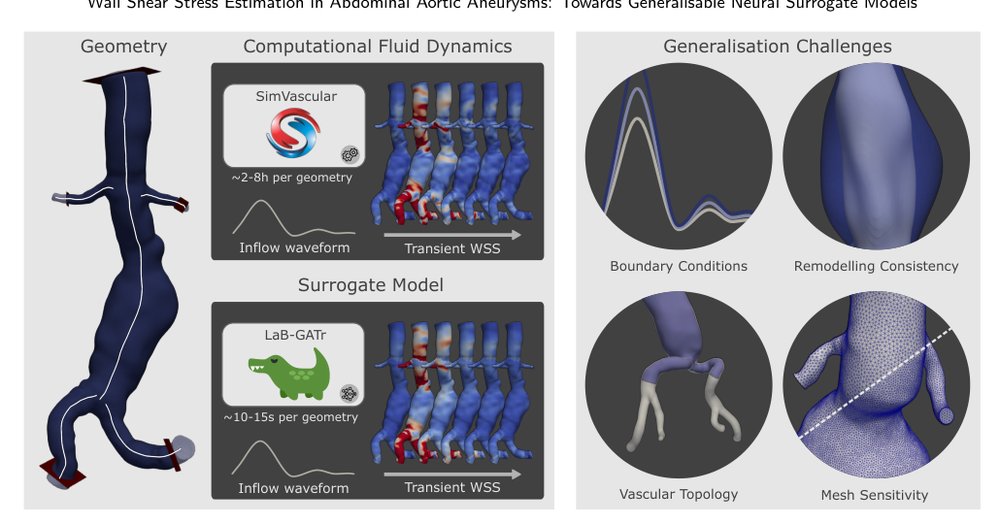 Wall Shear Stress Estimation in Abdominal Aortic Aneurysms: Towards Generalisable Neural Surrogate Models Figure 1