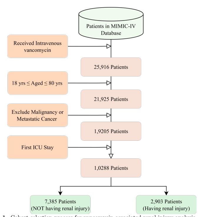 Prediction of Significant Creatinine Elevation in First ICU Stays with Vancomycin Use: A retrospective study through Catboost Figure 1