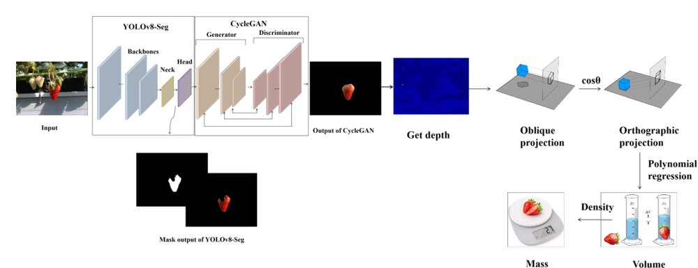 Online Estimation of Table-Top Grown Strawberry Mass in Field Conditions with Occlusions Figure 1