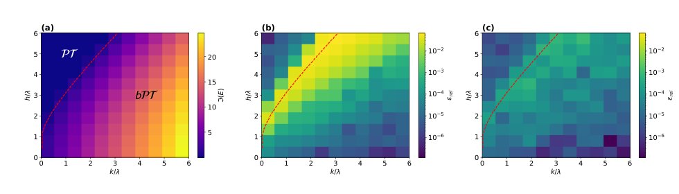 Biorthogonal Neural Network Approach to Two-Dimensional Non-Hermitian Systems Figure 1