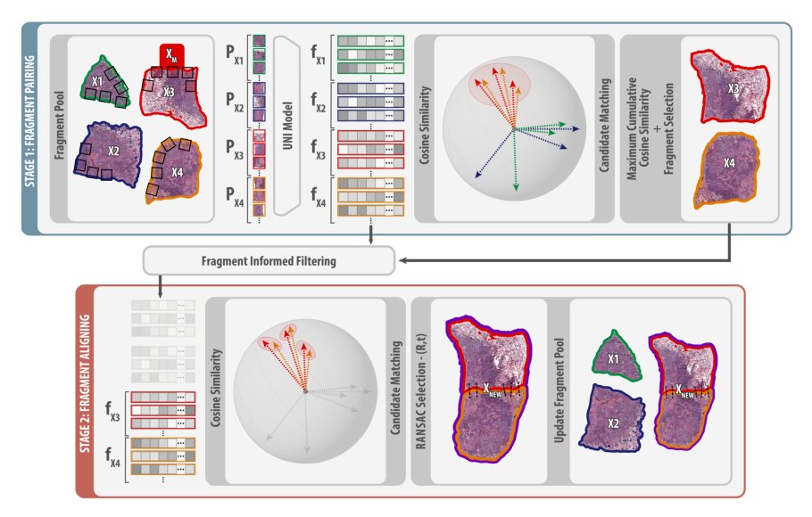 Semantic Mosaicing of Histo-Pathology Image Fragments using Visual Foundation Models Figure 1