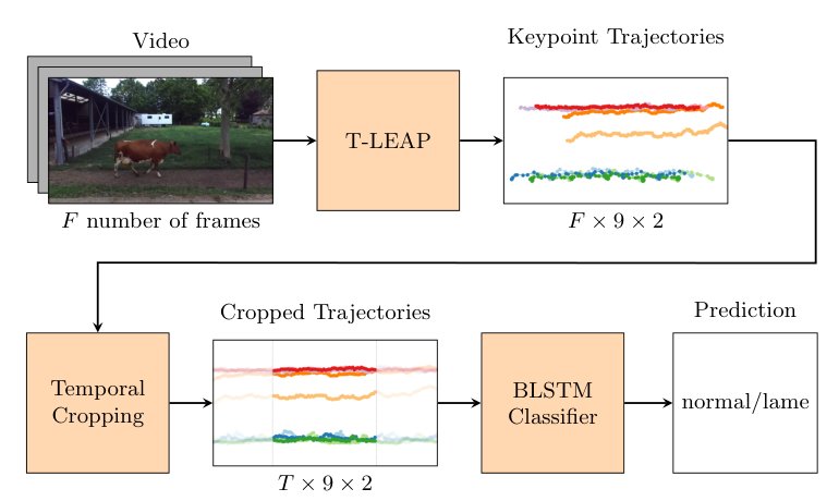 Lameness detection in dairy cows using pose estimation and bidirectional LSTMs Figure 1