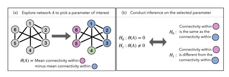 Post-selection inference with a single realization of a network Figure 1