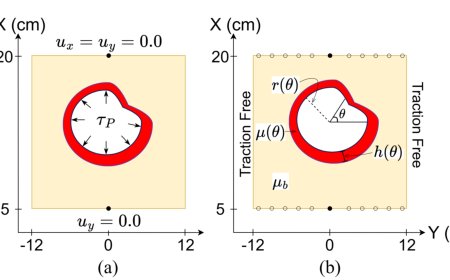 2D Ultrasound Elasticity Imaging of Abdominal Aortic Aneurysms Using Deep Neural Networks Figure 1