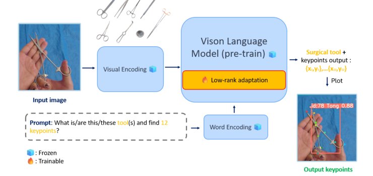 Estimating 2D Keypoints of Surgical Tools Using Vision-Language Models with Low-Rank Adaptation Figure 1