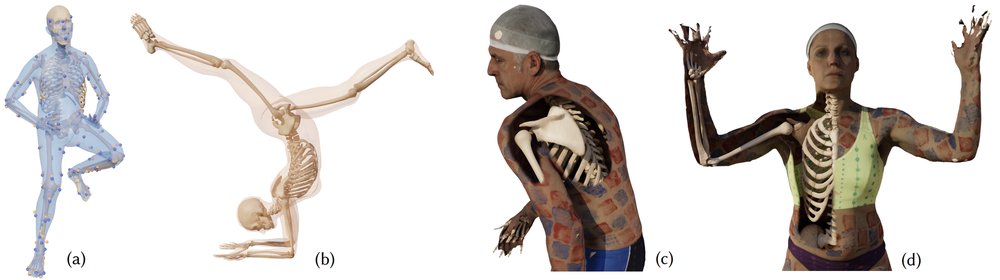 From Skin to Skeleton: Towards Biomechanically Accurate 3D Digital Humans Figure 1