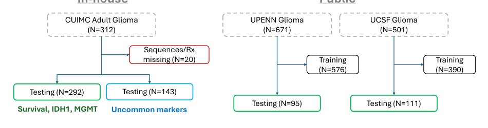 NeuroRAD-FM: A Foundation Model for Neuro-Oncology with Distributionally Robust Training Figure 1