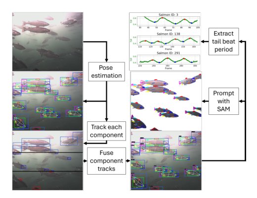 A Multi-purpose Tracking Framework for Salmon Welfare Monitoring in Challenging Environments Figure 1