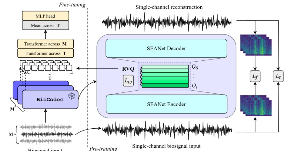 Neural Codecs as Biosignal Tokenizers Figure 1