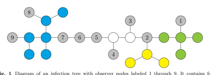 Observer-Based Source Localization in Tree Infection Networks via Laplace Transforms Figure 1