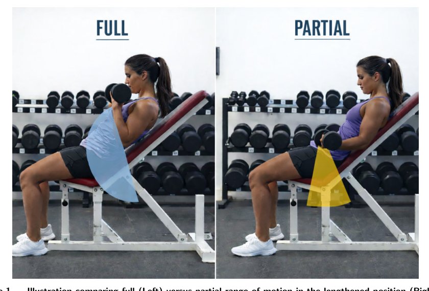 AI Pose Analysis and Kinematic Profiling of Range-of-Motion Variations in Resistance Training Figure 1