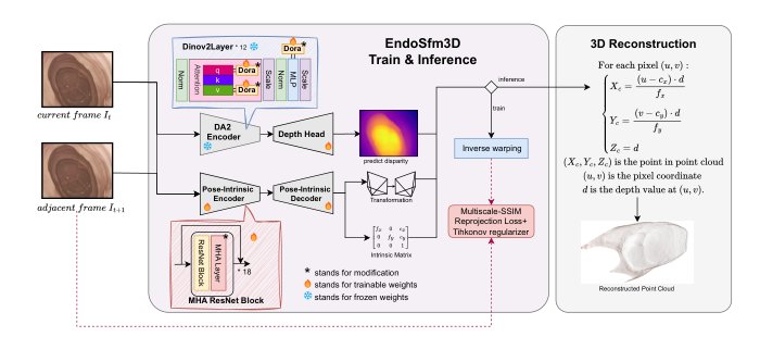 EndoSfM3D: Learning to 3D Reconstruct Any Endoscopic Surgery Scene using Self-supervised Foundation Model Figure 1