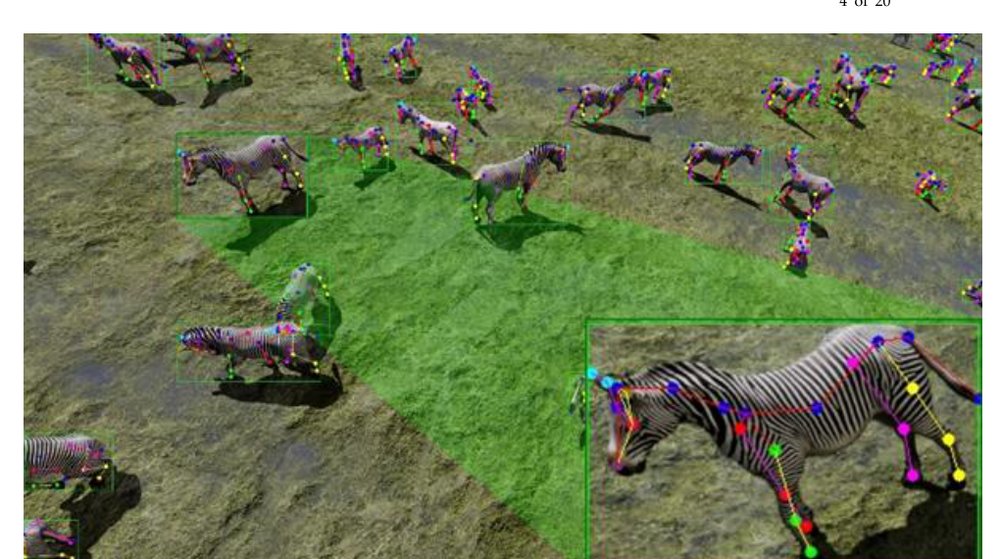 Cross-Species Transfer Learning in Agricultural AI: Evaluating ZebraPose Adaptation for Dairy Cattle Pose Estimation Figure 1