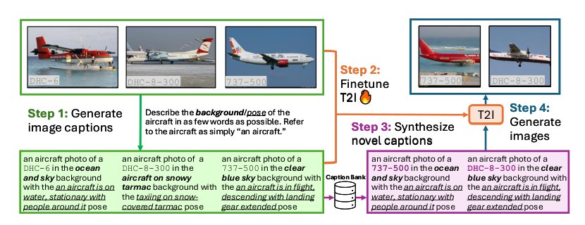 Beyond Objects: Contextual Synthetic Data Generation for Fine-Grained Classification Figure 1