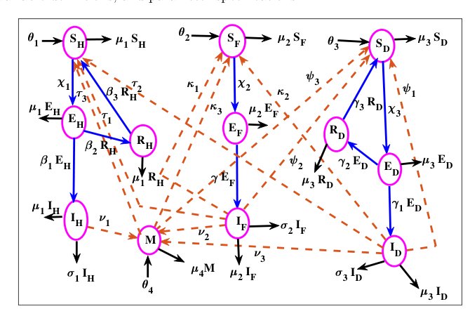 Evaluating the effectiveness of Stochastic CTMC and deterministic models in correlating rabies persistence in human and dog populations Figure 1