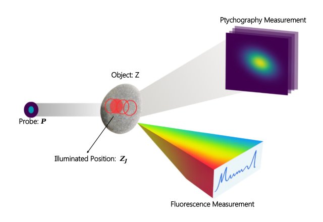 A Joint Variational Framework for Multimodal X-ray Ptychography and Fluorescence Reconstruction Figure 1