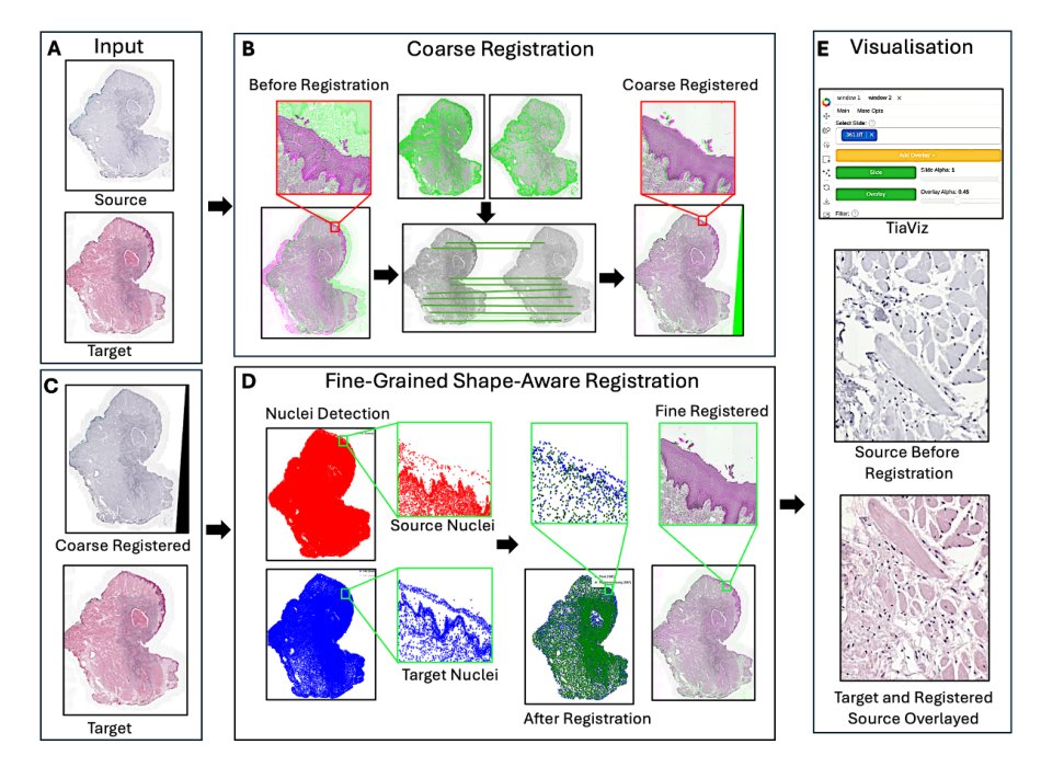 CORE - A Cell-Level Coarse-to-Fine Image Registration Engine for Multi-stain Image Alignment Figure 1