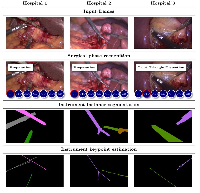 Video Dataset for Surgical Phase, Keypoint, and Instrument Recognition in Laparoscopic Surgery (PhaKIR) Figure 1