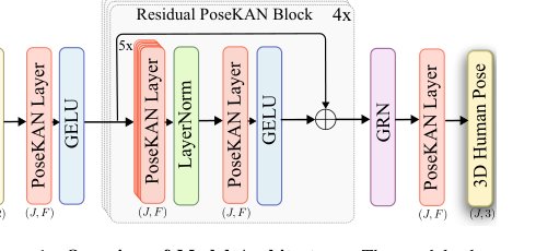 Adaptive graph Kolmogorov-Arnold network for 3D human pose estimation Figure 1