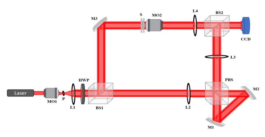 Deep Learning-Enhanced Analysis for Delineating Anticoagulant Essay Efficacy Using Phase Microscopy Figure 1