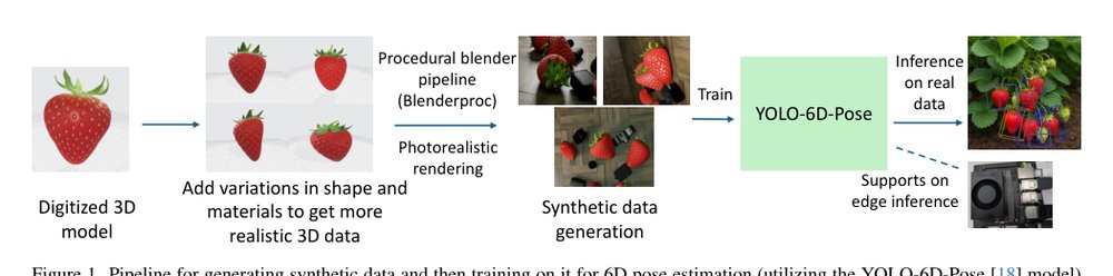6D Strawberry Pose Estimation: Real-time and Edge AI Solutions Using Purely Synthetic Training Data Figure 1
