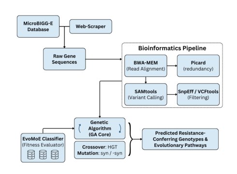 AMR-MoEGA: Antimicrobial Resistance Prediction using Mixture of Experts and Genetic Algorithms Figure 1
