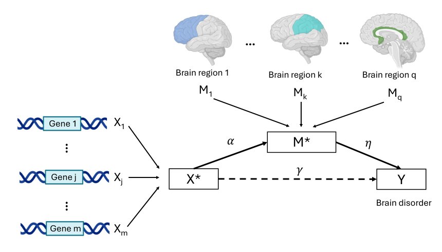 A novel multi-exposure-to-multi-mediator mediation model for imaging genetic study of brain disorders Figure 1
