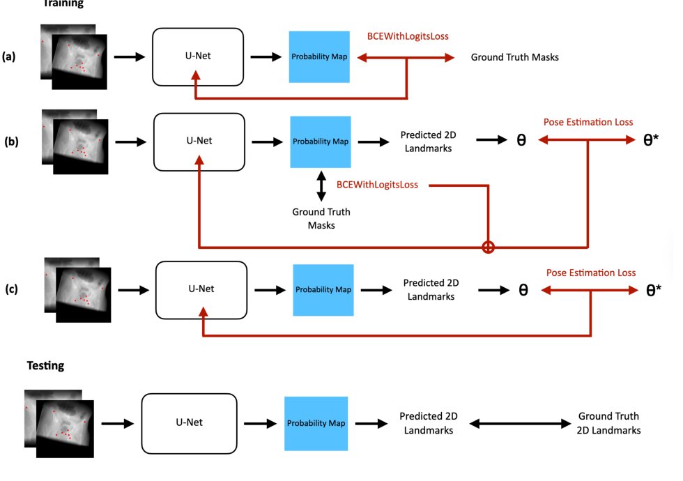 Enhanced Landmark Detection Model in Pelvic Fluoroscopy using 2D/3D Registration Loss Figure 1