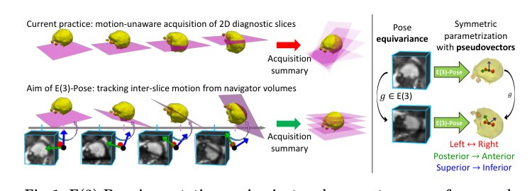 Equivariant Symmetry-Aware Head Pose Estimation for Fetal MRI Figure 1
