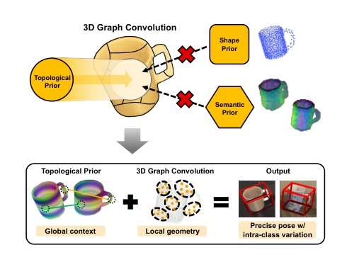 THE-Pose: Topological Prior with Hybrid Graph Fusion for Estimating Category-Level 6D Object Pose Figure 1