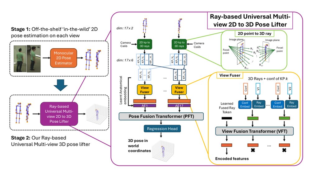 RUMPL: Ray-Based Transformers for Universal Multi-View 2D to 3D Human Pose Lifting Figure 1