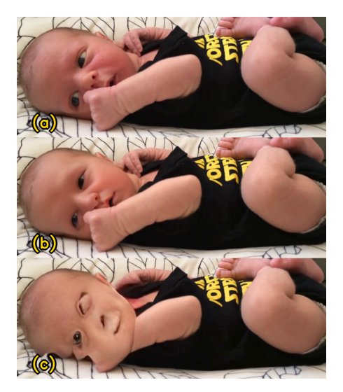 BLANKET: Anonymizing Faces in Infant Video Recordings Figure 1