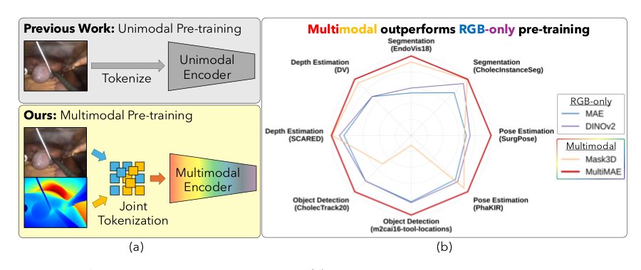 On the Role of Depth in Surgical Vision Foundation Models: An Empirical Study of RGB-D Pre-training Figure 1
