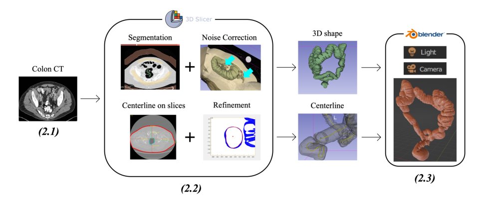 RealSynCol: a high-fidelity synthetic colon dataset for 3D reconstruction applications Figure 1