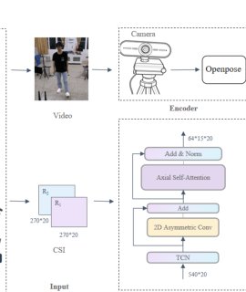 WiFlow: A Lightweight WiFi-based Continuous Human Pose Estimation Network with Spatio-Temporal Feature Decoupling Figure 1