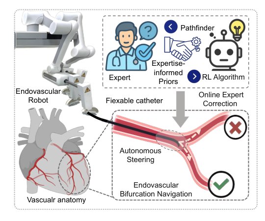 Sample-Efficient Learning with Online Expert Correction for Autonomous Catheter Steering in Endovascular Bifurcation Navigation Figure 1