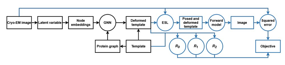 Protein Graph Neural Networks for Heterogeneous Cryo-EM Reconstruction Figure 1