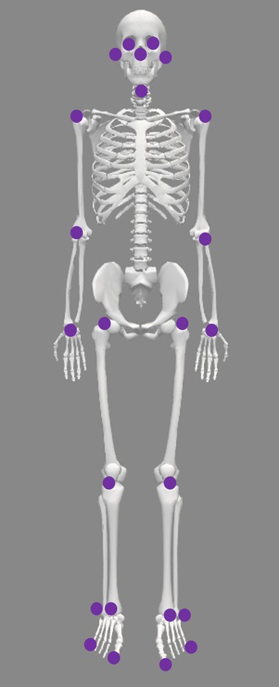 Biomechanically Accurate Gait Analysis: A 3d Human Reconstruction Framework for Markerless Estimation of Gait Parameters Figure 1