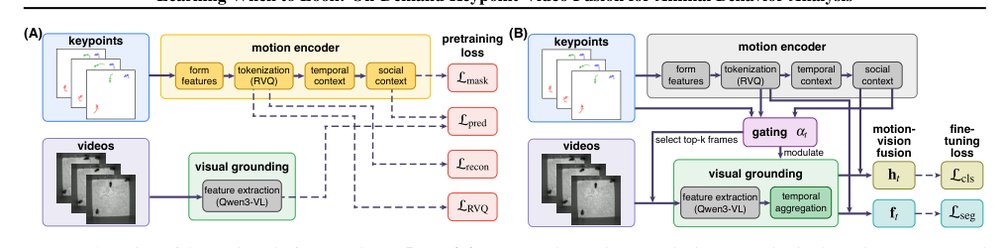Learning When to Look: On-Demand Keypoint-Video Fusion for Animal Behavior Analysis Figure 1