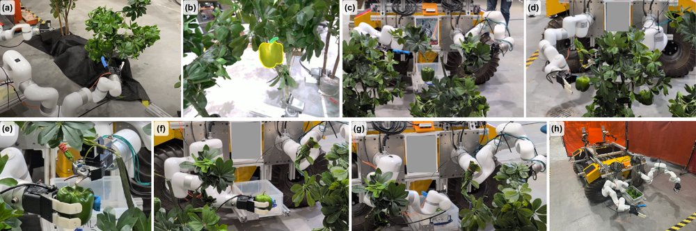 Vision-guided Autonomous Dual-arm Extraction Robot for Bell Pepper Harvesting Figure 1